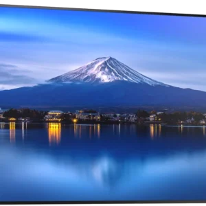 NEC Sharp Multisync P556