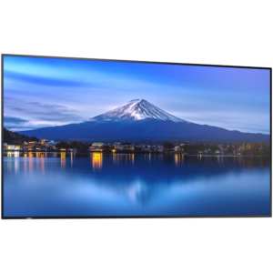 NEC Sharp MultiSync professional LCD display